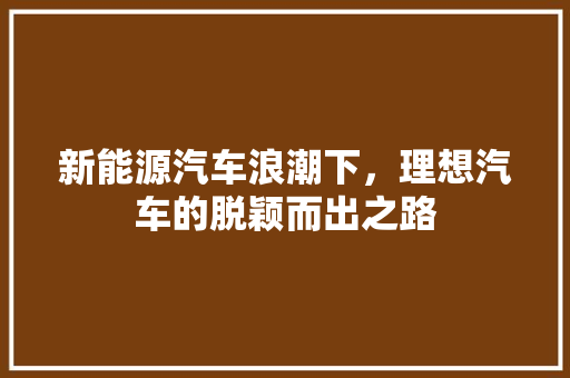 新能源汽车浪潮下，理想汽车的脱颖而出之路 车型评测