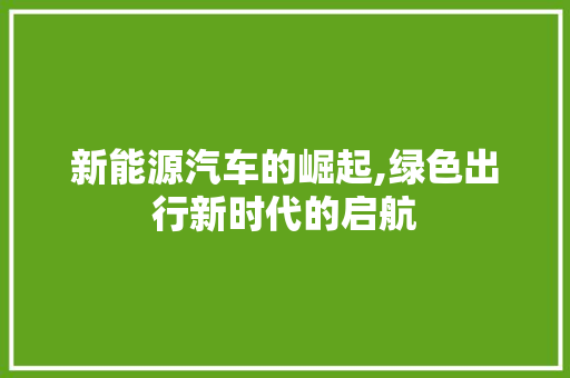 新能源汽车的崛起,绿色出行新时代的启航 车型评测