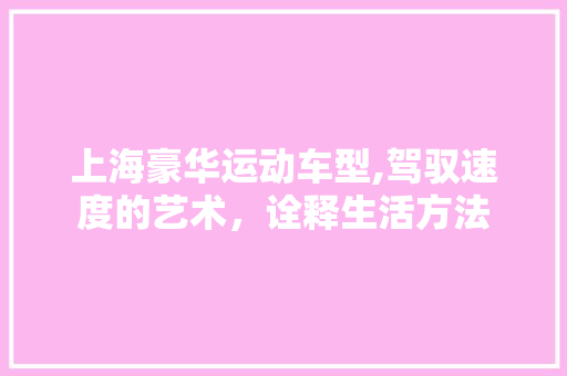 上海豪华运动车型,驾驭速度的艺术，诠释生活方法