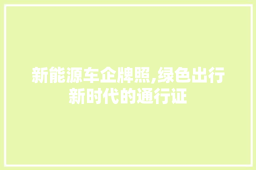 新能源车企牌照,绿色出行新时代的通行证