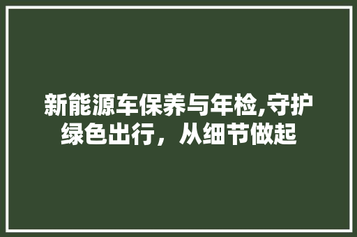 新能源车保养与年检,守护绿色出行，从细节做起