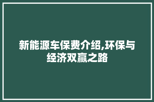 新能源车保费介绍,环保与经济双赢之路