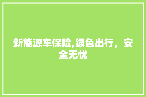 新能源车保险,绿色出行，安全无忧