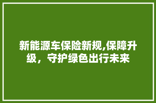 新能源车保险新规,保障升级，守护绿色出行未来 汽车配件