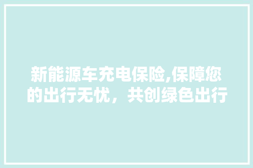 新能源车充电保险,保障您的出行无忧，共创绿色出行新时代