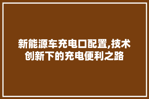 新能源车充电口配置,技术创新下的充电便利之路