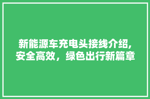 新能源车充电头接线介绍,安全高效，绿色出行新篇章