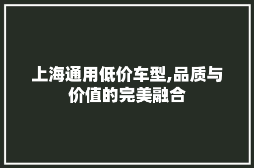 上海通用低价车型,品质与价值的完美融合