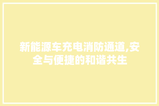 新能源车充电消防通道,安全与便捷的和谐共生