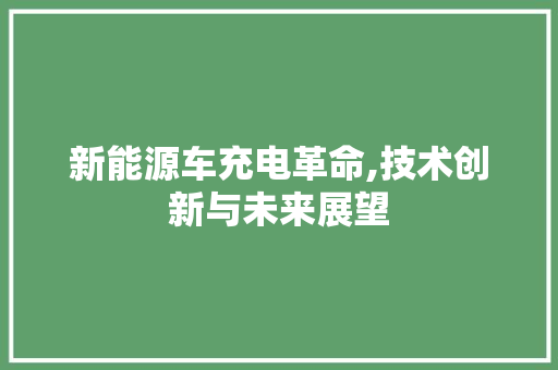 新能源车充电革命,技术创新与未来展望