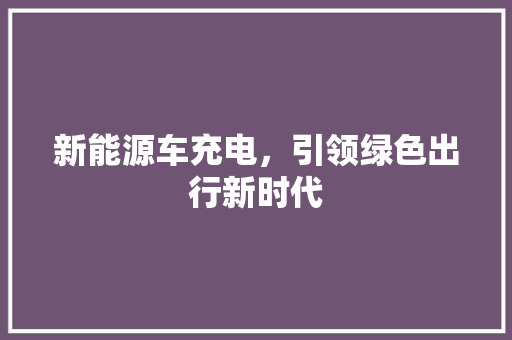 新能源车充电，引领绿色出行新时代