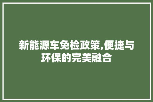 新能源车免检政策,便捷与环保的完美融合 汽车配件