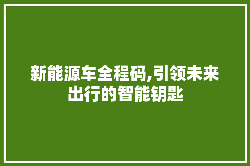 新能源车全程码,引领未来出行的智能钥匙