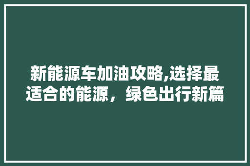 新能源车加油攻略,选择最适合的能源，绿色出行新篇章 新车资讯