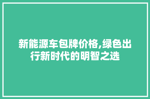 新能源车包牌价格,绿色出行新时代的明智之选 车联网技术