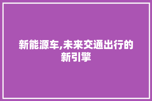新能源车,未来交通出行的新引擎