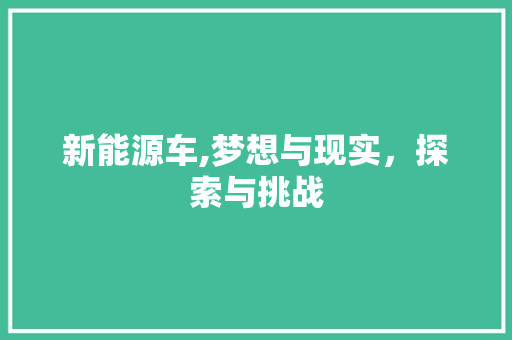 新能源车,梦想与现实，探索与挑战
