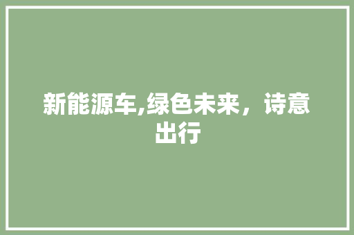 新能源车,绿色未来，诗意出行