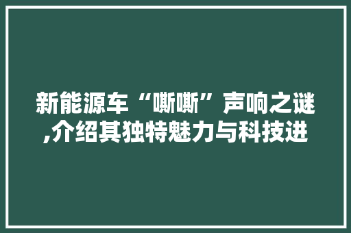 新能源车“嘶嘶”声响之谜,介绍其独特魅力与科技进步 新车资讯