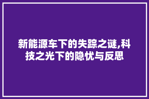 新能源车下的失踪之谜,科技之光下的隐忧与反思