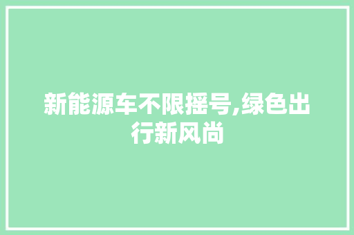 新能源车不限摇号,绿色出行新风尚