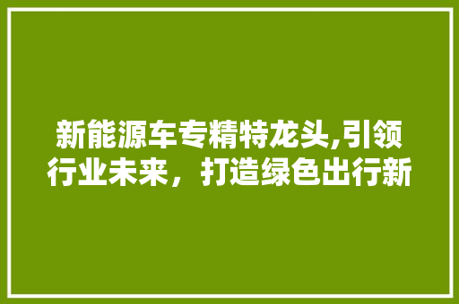 新能源车专精特龙头,引领行业未来，打造绿色出行新风尚 新能源汽车