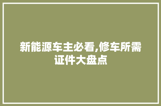 新能源车主必看,修车所需证件大盘点