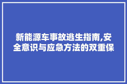 新能源车事故逃生指南,安全意识与应急方法的双重保障