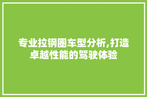 专业拉钢圈车型分析,打造卓越性能的驾驶体验