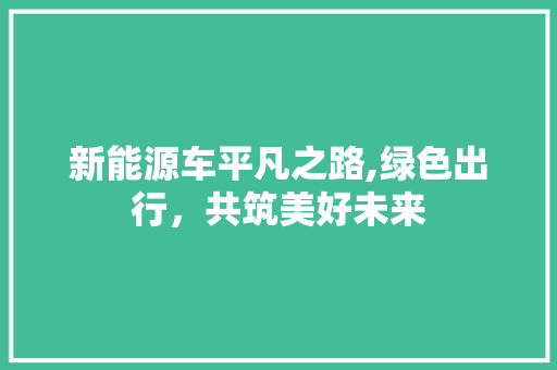 新能源车平凡之路,绿色出行，共筑美好未来 汽车配件