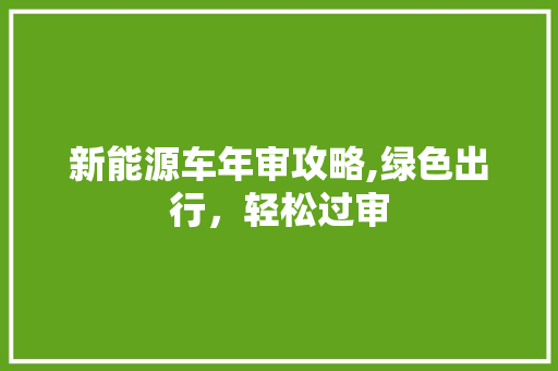 新能源车年审攻略,绿色出行，轻松过审