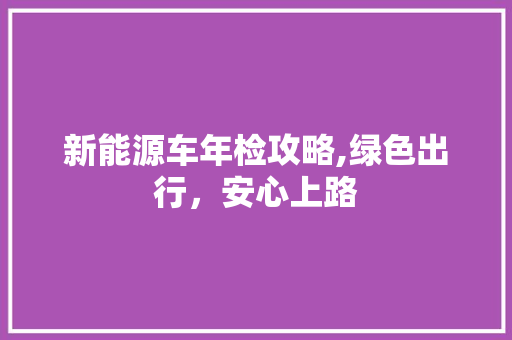 新能源车年检攻略,绿色出行，安心上路