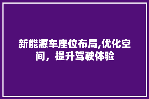 新能源车座位布局,优化空间，提升驾驶体验