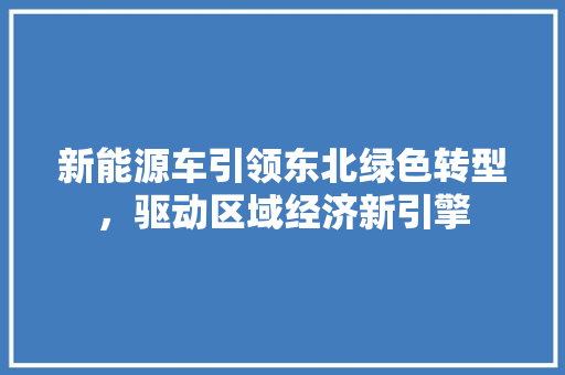 新能源车引领东北绿色转型，驱动区域经济新引擎 车型评测