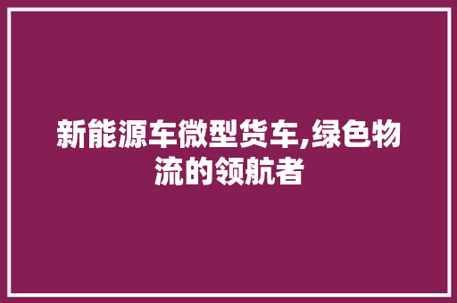 新能源车微型货车,绿色物流的领航者 车载导航