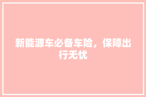 新能源车必备车险，保障出行无忧