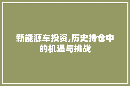 新能源车投资,历史持仓中的机遇与挑战