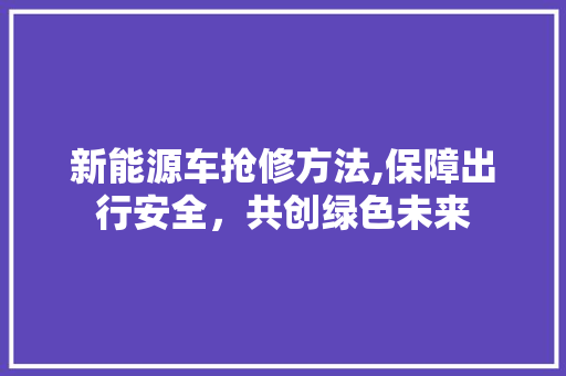 新能源车抢修方法,保障出行安全，共创绿色未来