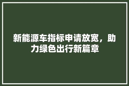 新能源车指标申请放宽，助力绿色出行新篇章