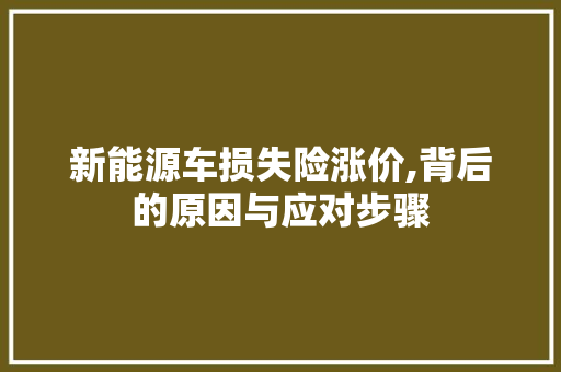 新能源车损失险涨价,背后的原因与应对步骤