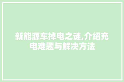新能源车掉电之谜,介绍充电难题与解决方法 车联网技术