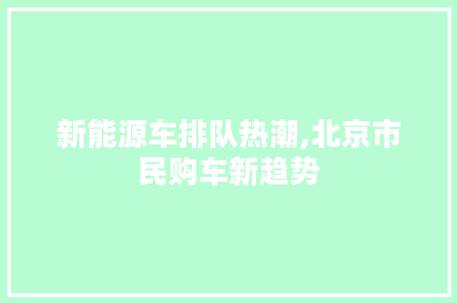 新能源车排队热潮,北京市民购车新趋势 汽车展览