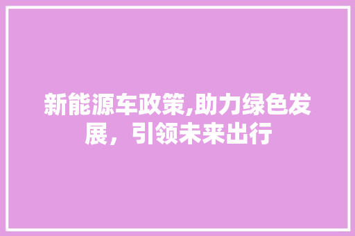 新能源车政策,助力绿色发展，引领未来出行