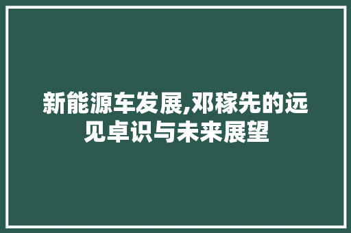 新能源车发展,邓稼先的远见卓识与未来展望 汽车保养