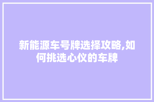 新能源车号牌选择攻略,如何挑选心仪的车牌 汽车保养