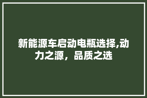 新能源车启动电瓶选择,动力之源，品质之选
