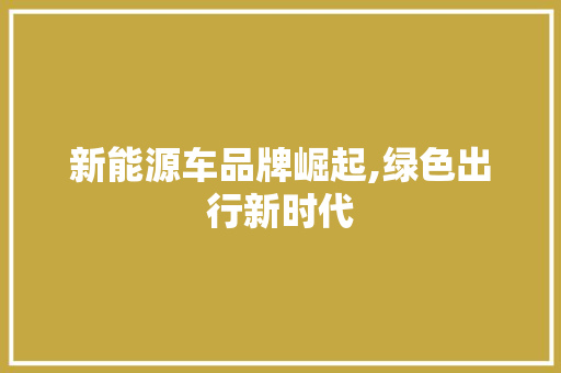 新能源车品牌崛起,绿色出行新时代 汽车展览
