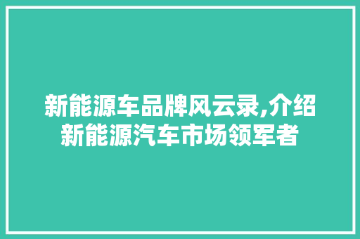 新能源车品牌风云录,介绍新能源汽车市场领军者