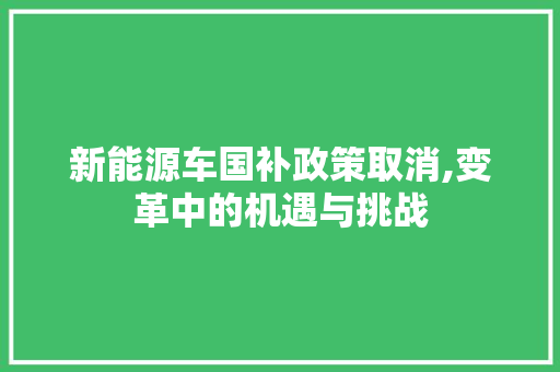 新能源车国补政策取消,变革中的机遇与挑战