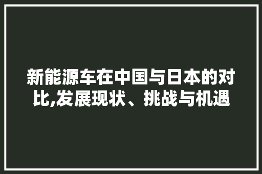 新能源车在中国与日本的对比,发展现状、挑战与机遇